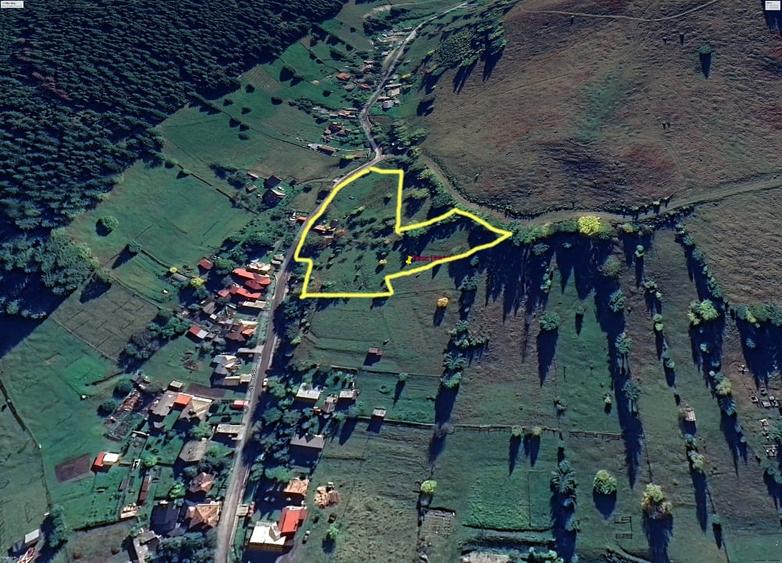 Teren Construcții intravilan de 8000 mp, în Pojorâta