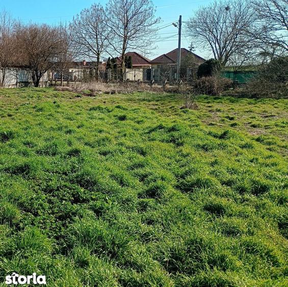 Poiana -Teren intravilan de vanzare, acces asfaltat - 3