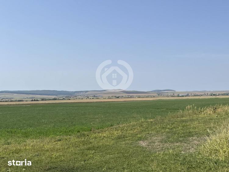 Teren de 20500 mp, în Central