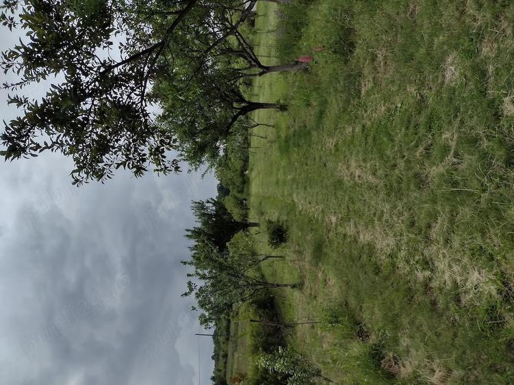 Teren de 4000 mp, în Pietroasa