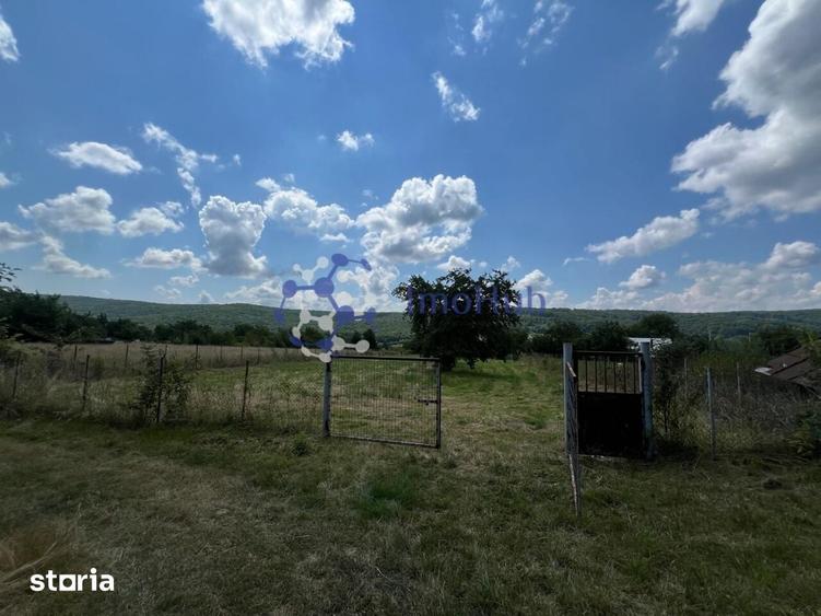 Teren de vanzare 2.531 mp Centrul satului Poieni, Priveliste spre - 3