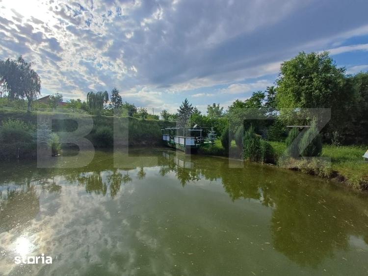 Teren intravilan 60 ari cu iaz si cabana, zona Ilisesti - 11