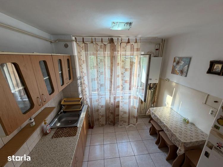 Apartament cu 2 camere în Banat