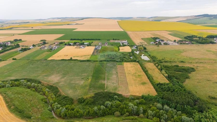 Teren agricol intravilan de 10000 mp, în Todirești