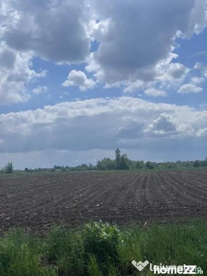 Teren de 7800 mp, în Rădăuți