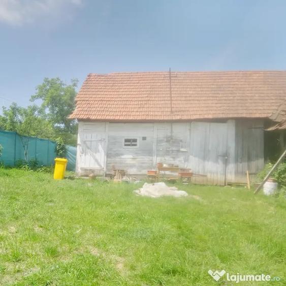 Casă cu 2 camere în Central