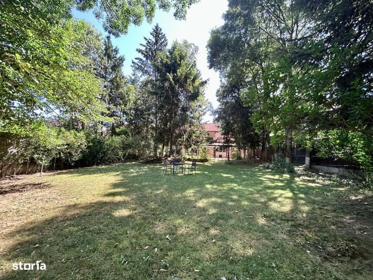 Resedinta 5 camere, cu Padure Privata, Paradisul Verde, teren 1735mp - 6