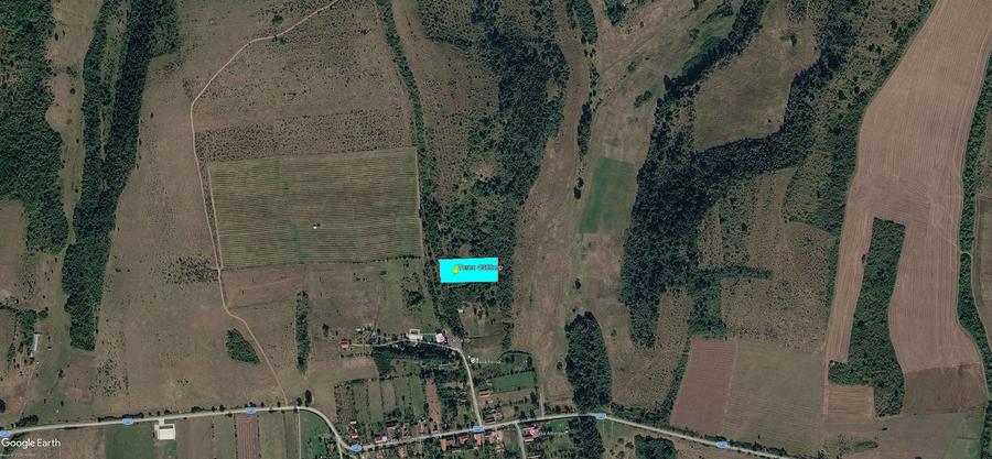 Teren agricol extravilan de 4300 mp, în Bogda