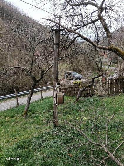 Teren Vetel (valea caoiului)3573 mp - 7