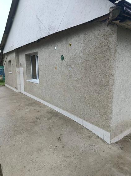 Casă cu 2 camere cu Teren 3868 Mp în Bârsănești