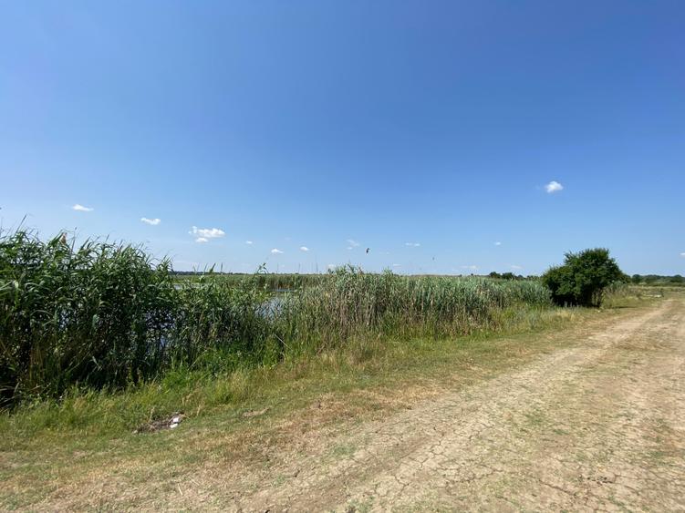 Teren Construcții intravilan de 5000 mp, în Siliștea Snagovului