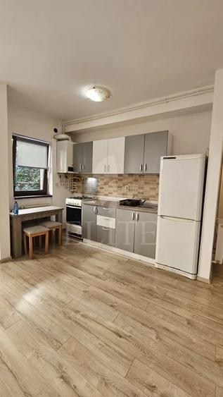 Apartament 2 camere în zona STRAZII NICOLAE TITILESCU - 2