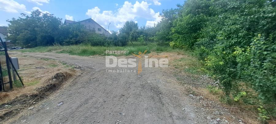 TEREN intravilan  Balciu - MIROSLAVA , 709 MP, 77.990 EURO - 5