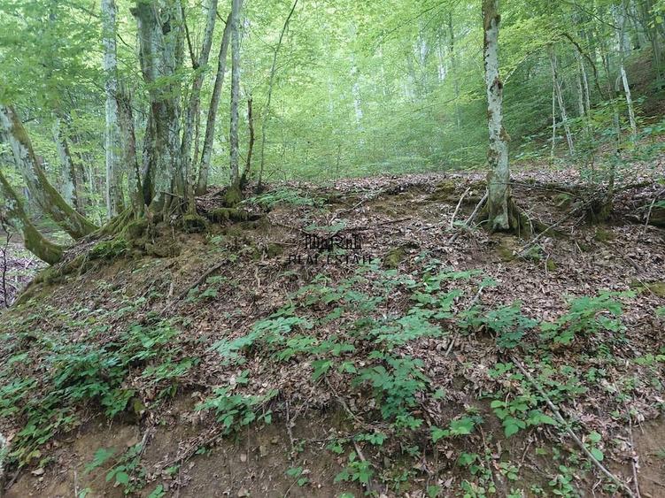Teren de 1632 mp, în Bulzeștii de Sus