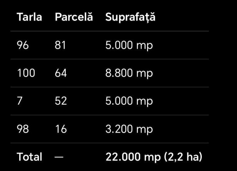 Spațiu comercial, în Carpen
