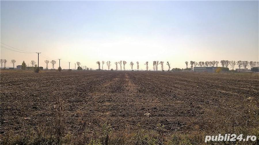 Teren de 6159 mp, în Bolintin-Deal