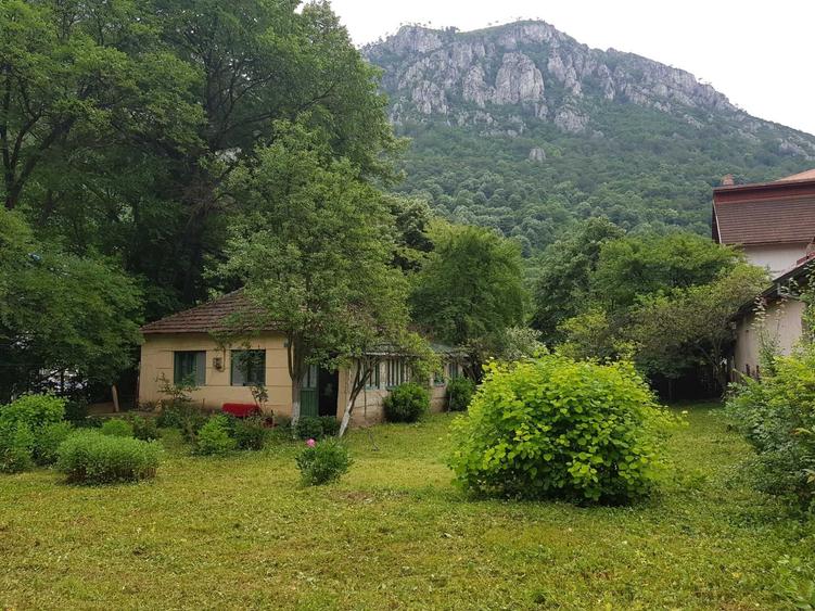 Casă cu 4 camere în Exterior Vest