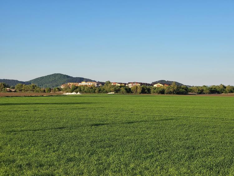 Teren Construcții intravilan de 10280 mp, în Rulmentul