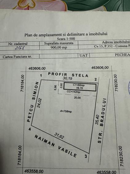 Spațiu comercial, în Pechea