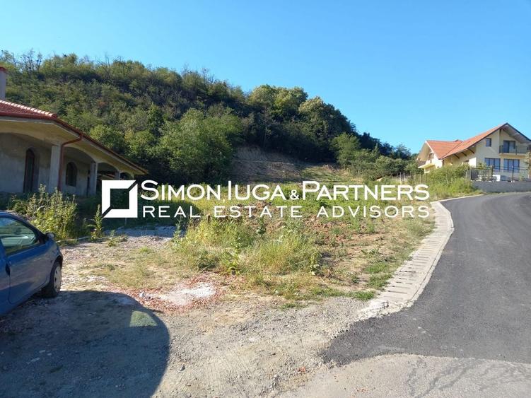 Teren Construcții intravilan de 3256 mp, în Sud-Vest