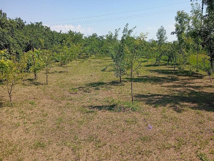 Casă cu 3 camere cu Teren 1700 Mp în Uliești