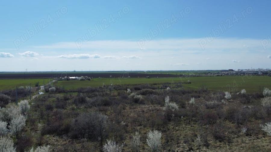 Glina - strada Ilfov, 2000 mp d = 11 m - 5