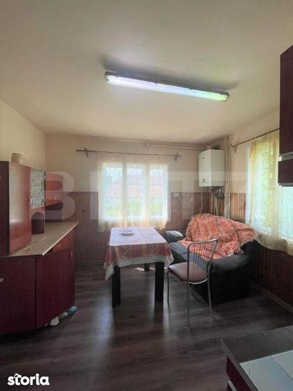 Casa individuala, 140 mp, curte, parcare, zona Eremia Grigorescu - 13