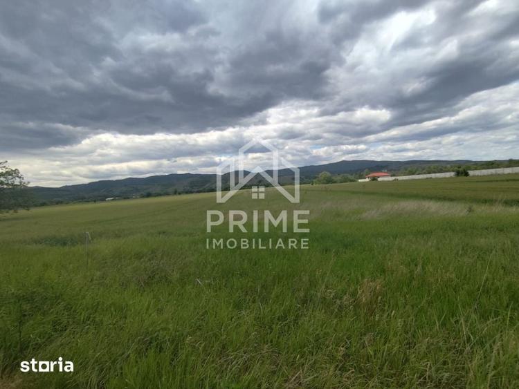 Teren de 10400 mp, în Vințu de Jos