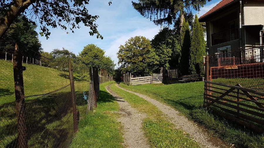Teren agricol intravilan de 2400 mp, în Ibănești