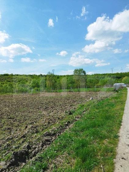 Teren Construcții intravilan de 3100 mp, în Nord