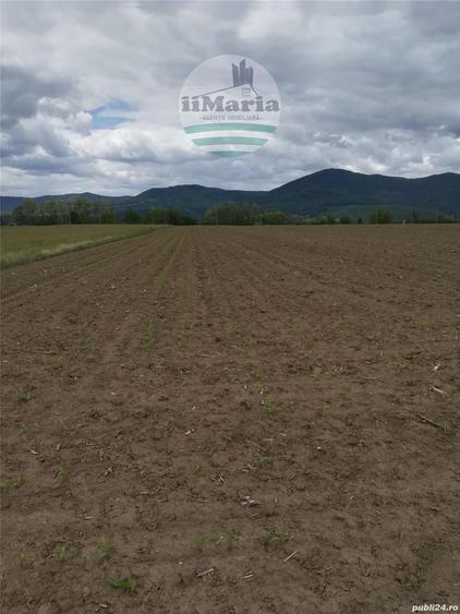 Teren de 18000 mp, în Ciritei