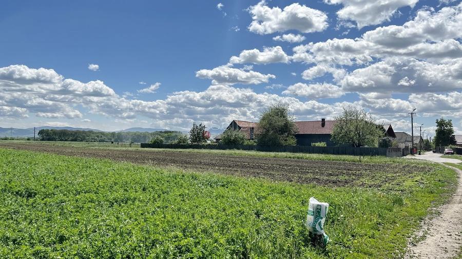 Teren Construcții intravilan de 6772 mp, în Prejmer
