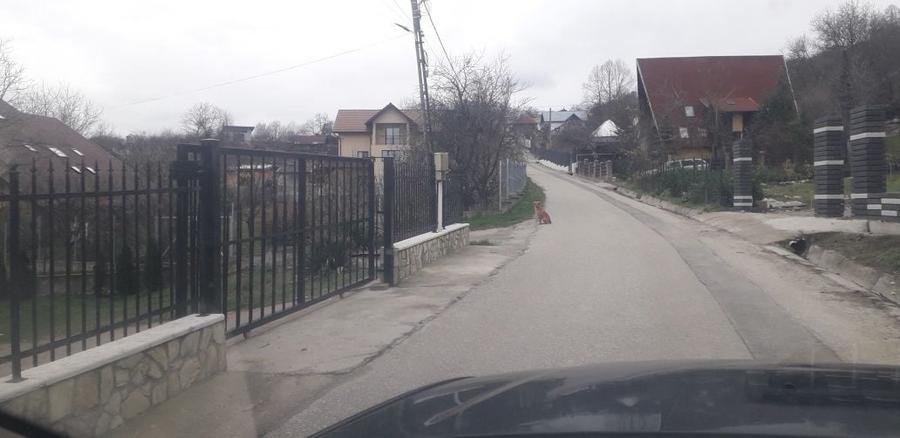 Spațiu comercial, în Vlădești