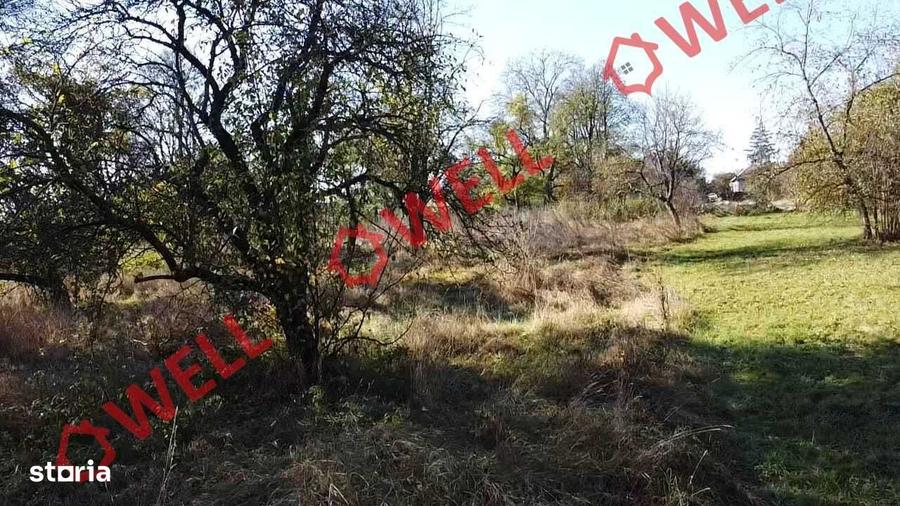 Casă cu 3 camere cu Teren 5213 Mp în Cernat