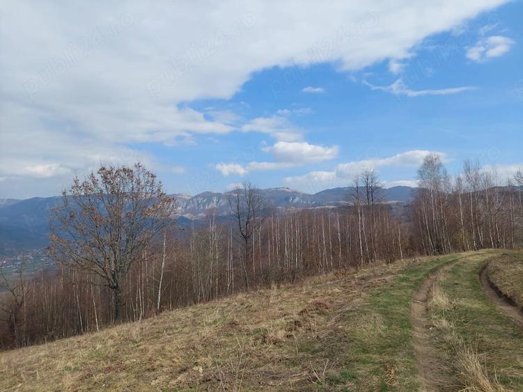 Teren de 4500 mp, în Deal