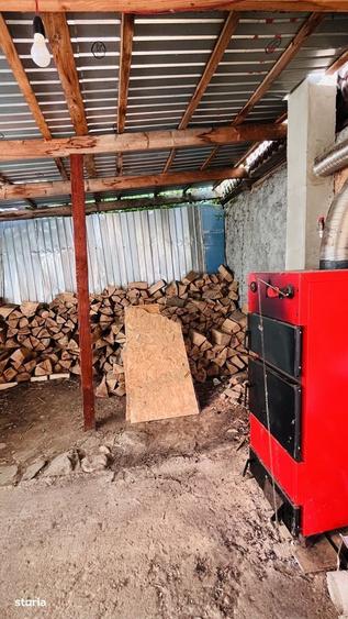 Casă cu 4 camere în Borlovenii Noi
