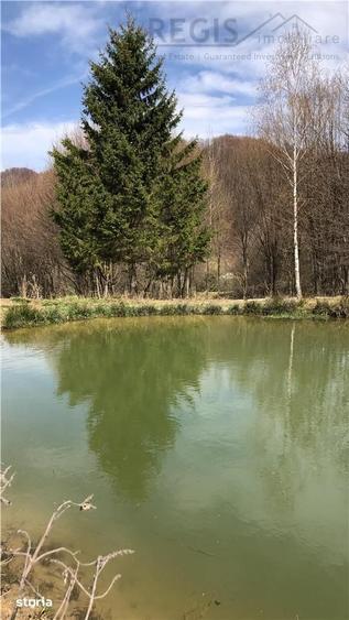 Casă cu 3 camere cu Teren 4150 Mp în Cheile Râșnoavei