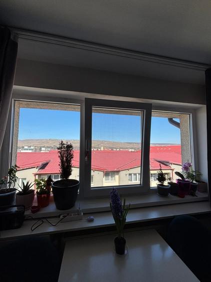 Apartament 2 camere ,zona Ioan Rus,parcare - 9