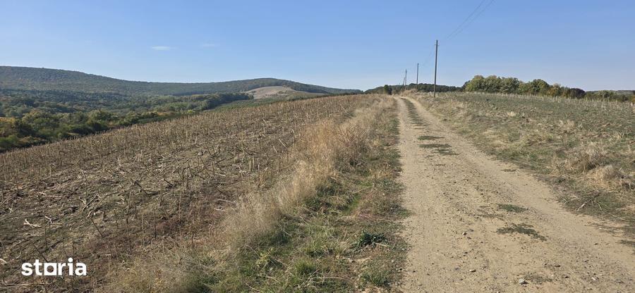 Teren de 100000 mp, în Costuleni