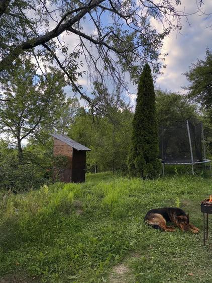 Casă cu 2 camere cu Teren 10800 Mp în Central