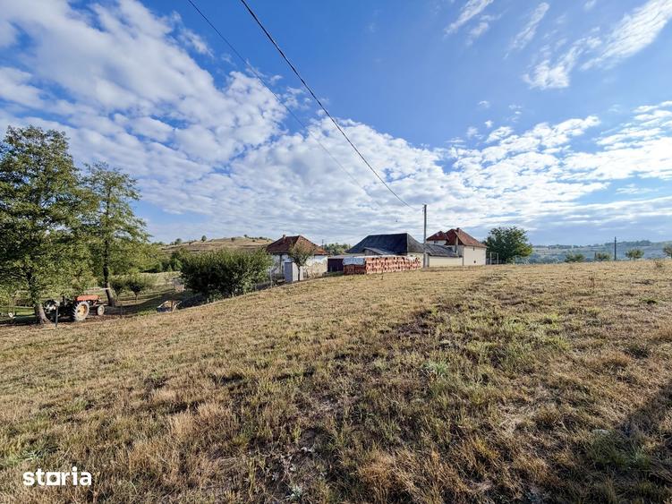 Casă cu 4 camere cu Teren 13000 Mp în Sâg