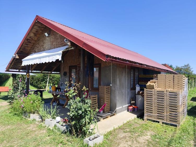 Proprietate specială, de 30 mp, în Nord