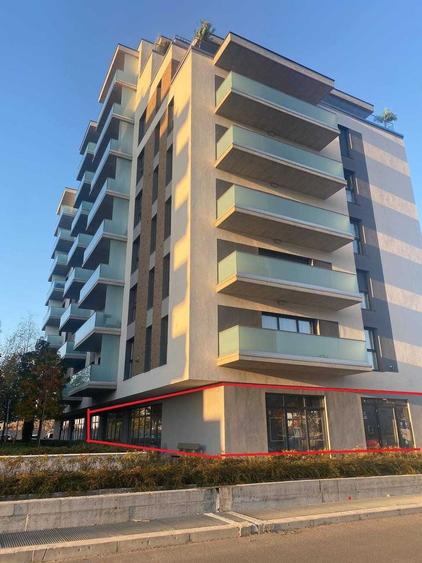 Spațiu comercial, de 230 mp, în Nufărul