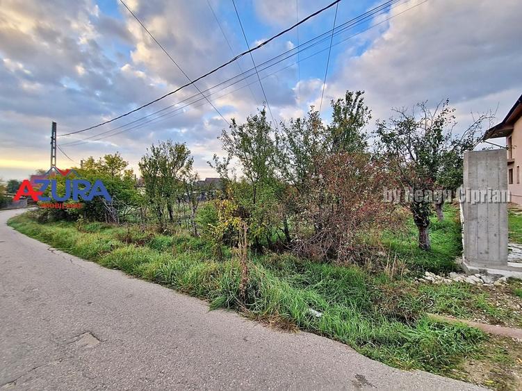 Teren Construcții intravilan de 3207 mp, în Bascov