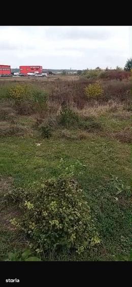Teren de 12972 mp, în Ghiroda