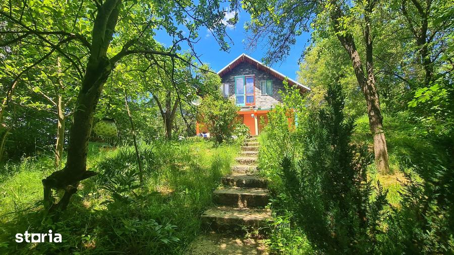 Casă cu 4 camere cu Teren 606 Mp în Bradu