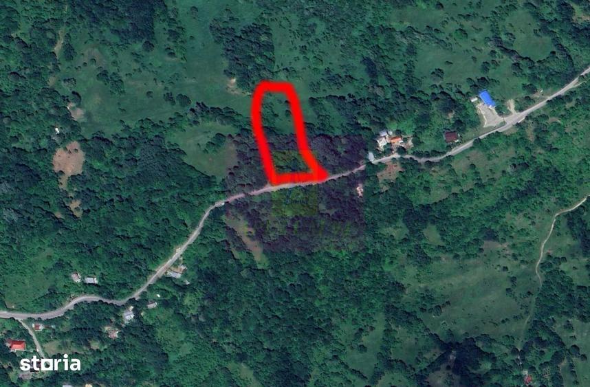Teren de 3092 mp, în Scorțeni