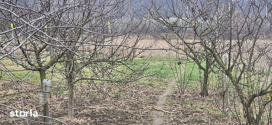 Casă cu 2 camere cu Teren 4000 Mp în Tăut