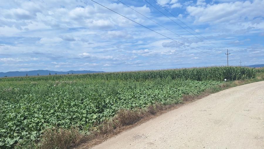 Teren Construcții intravilan de 1.5 mp, în Hălchiu