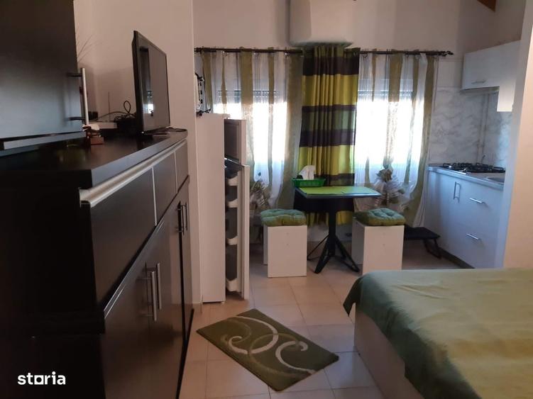 studio Complex Elisbetinin, Judetean 350 EUR/luna - 1